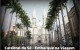 Catedral da Sé Embarque na Viagem