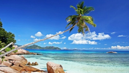 Cocotier, beach, Seychelles, Anse severe, La Digue 620x350