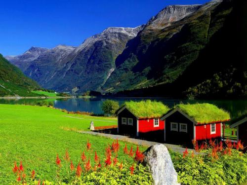 Resultado de imagem para imagens noruega