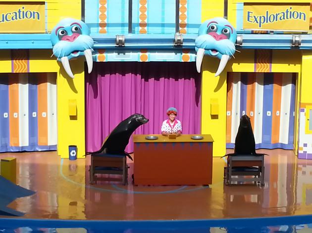 Clyde & Seamore´s Sea Lion High