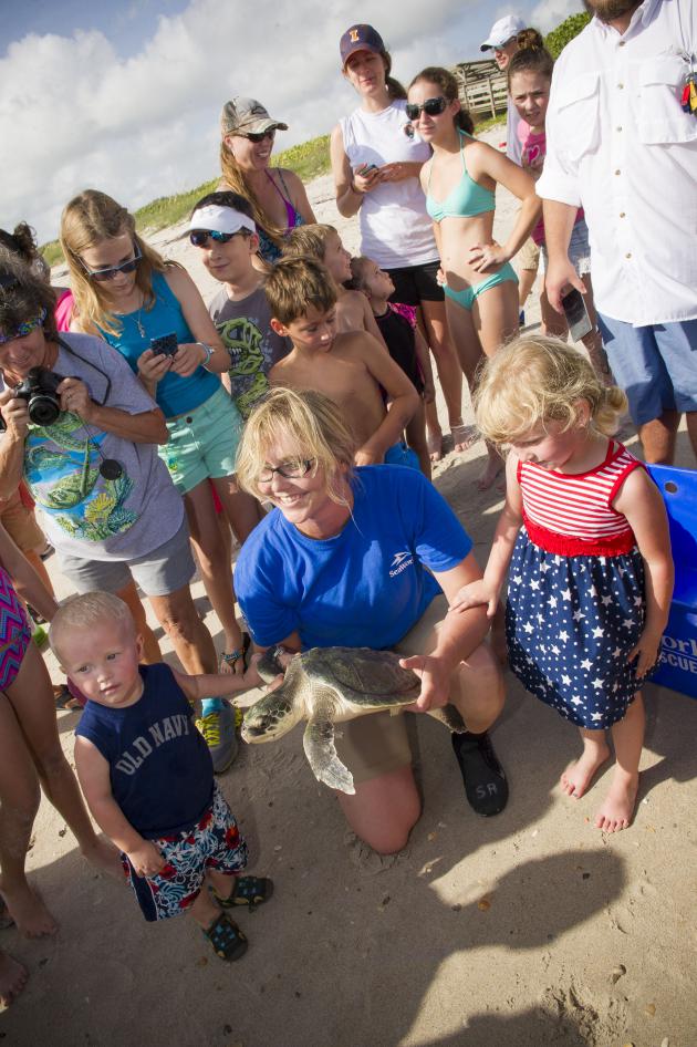 TurtleReturnFestival