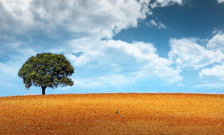 as estradas mais bonitas de Portugal