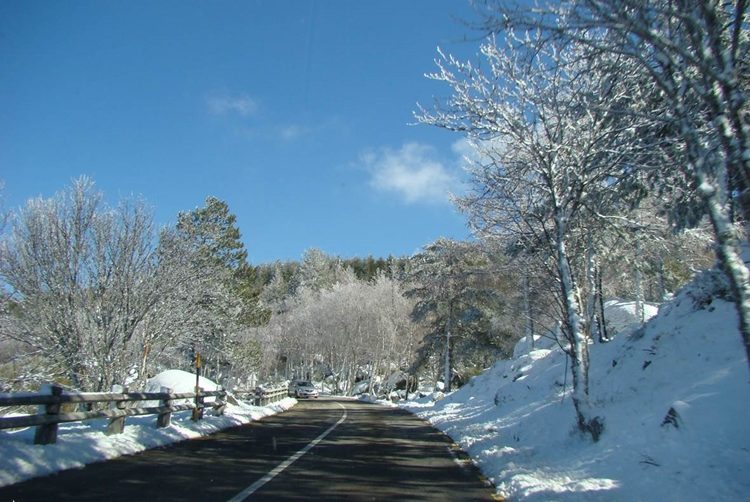 as estradas mais bonitas de Portugal