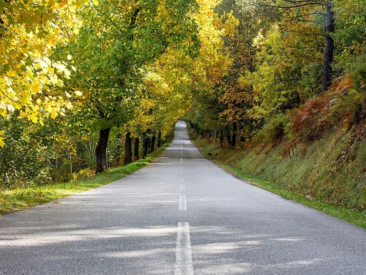 as estradas mais bonitas de Portugal