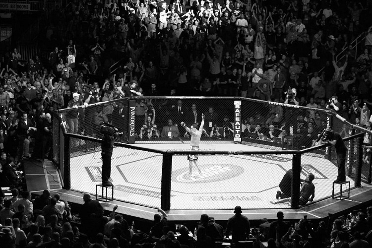 UFC 232