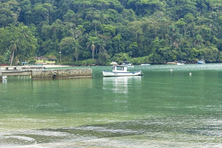 Festival de Frutos do Mar