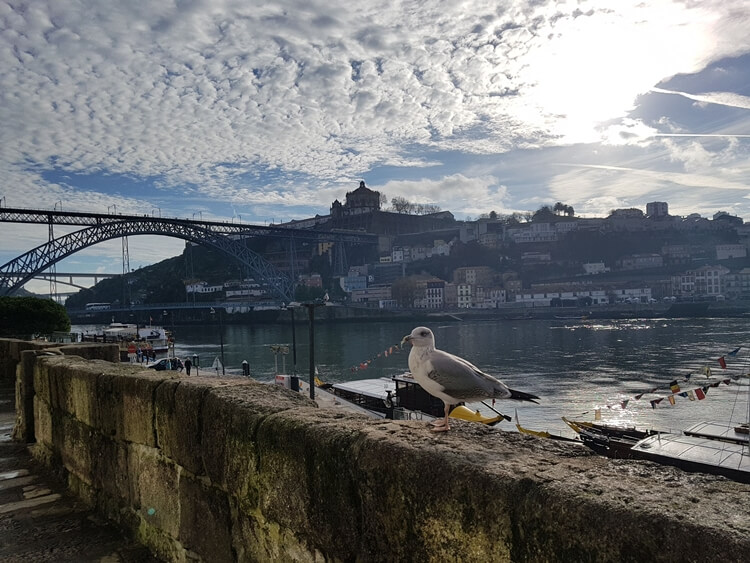 Pestana Vintage Porto