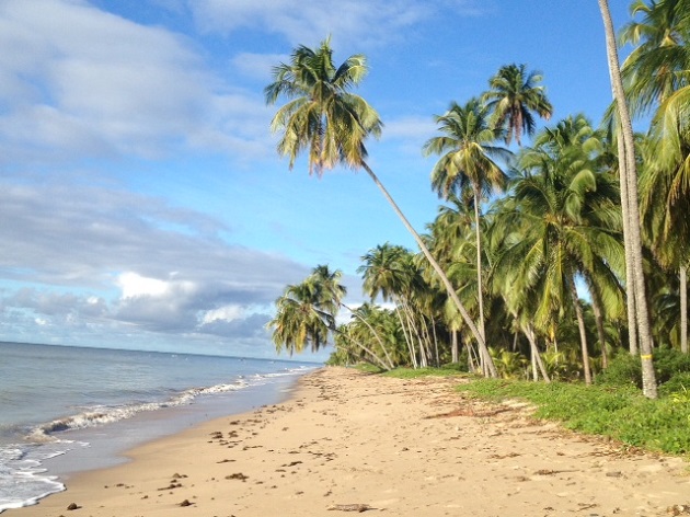 A Praia do Patacho