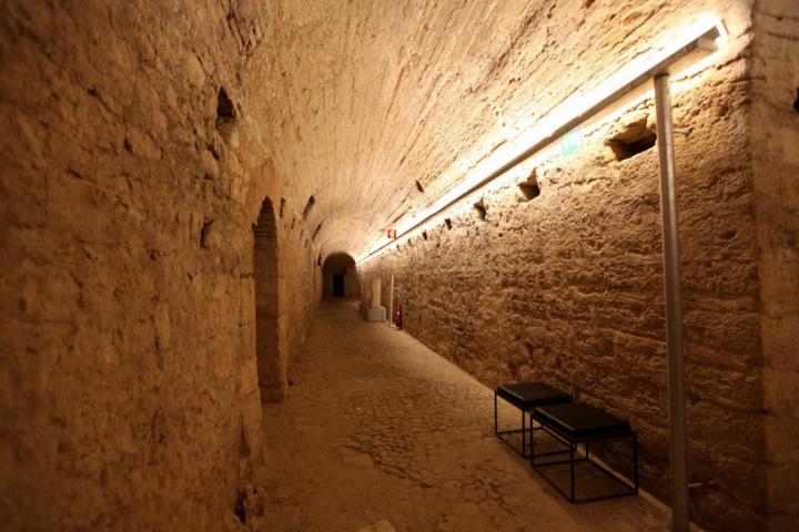Aeminium