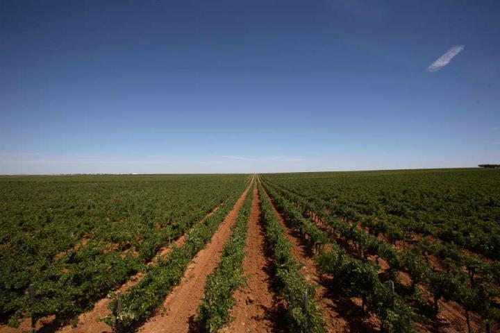 Alentejo Herdade do Esporao 7
