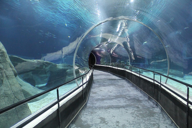 aquario-2