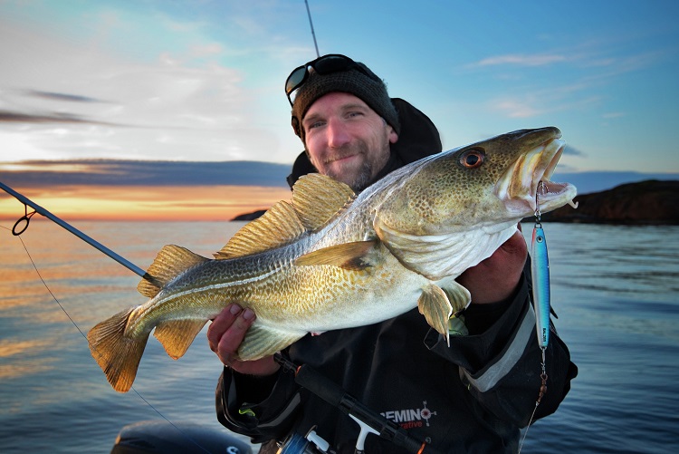 #BacalhauTemCabeçaSim