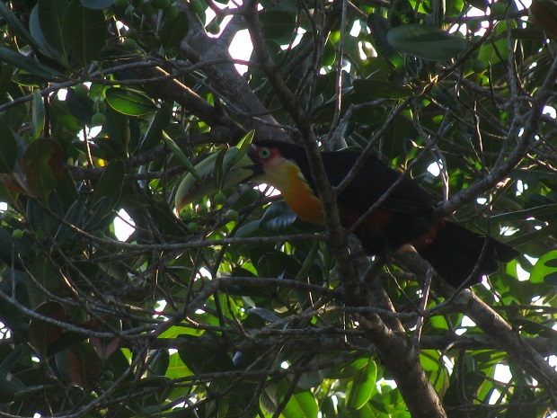 Balneário Camboriu (4)