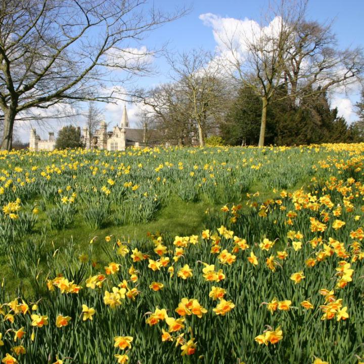 Burghley House