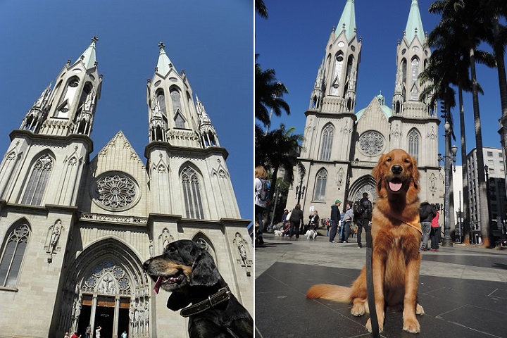 Caonhecendo 5 (108)_1