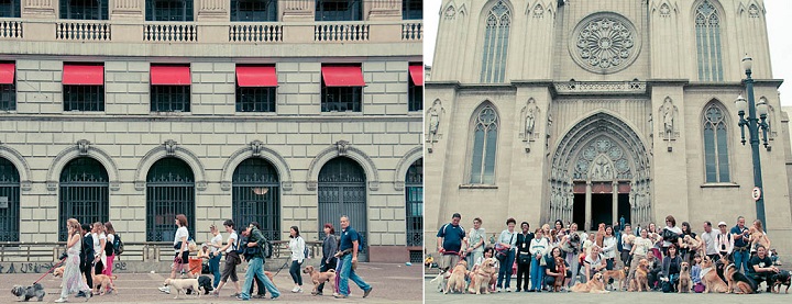 Cãonhecendo São Paulo (116)