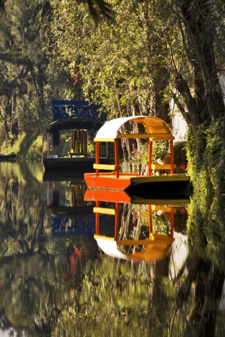 DF_xochimilco_t_308