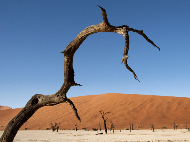 Deadvlei, Namíbia