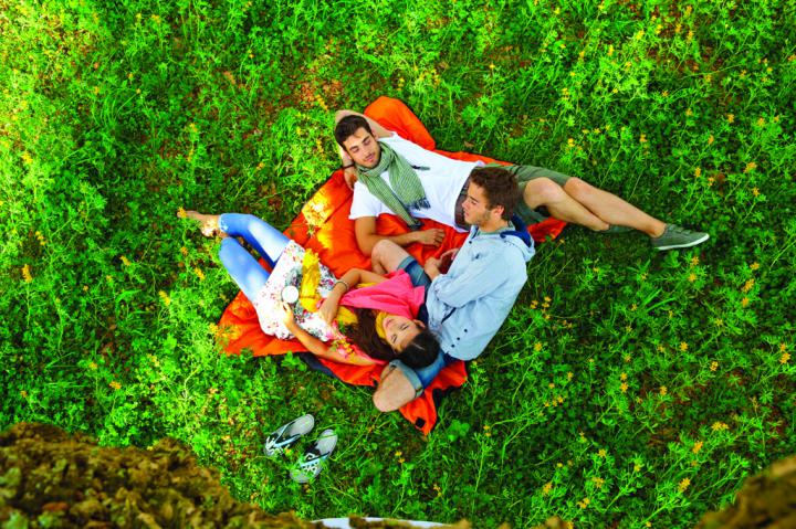 Descansando em baixo de uma arvore no Alentejo