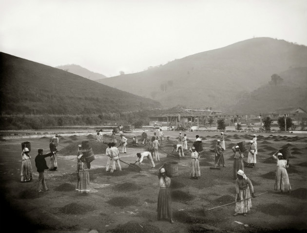 Escravos em terreiro de uma fazenda de café - Vale do Paraíba, c. 1882