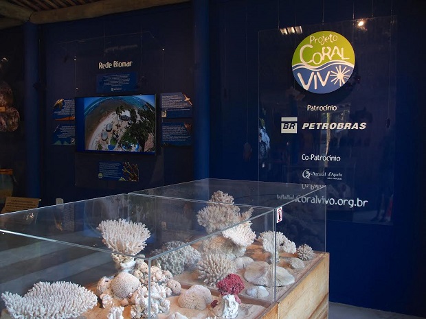 Esqueletos de colônias centenárias de corais encontradas pelo mundo