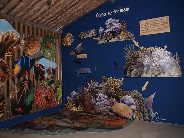 Espaço Coral Vivo Mucugê - Nova exposição permanente e gratuita