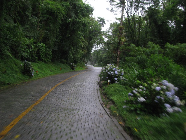 Estrada da Graciosa (24)