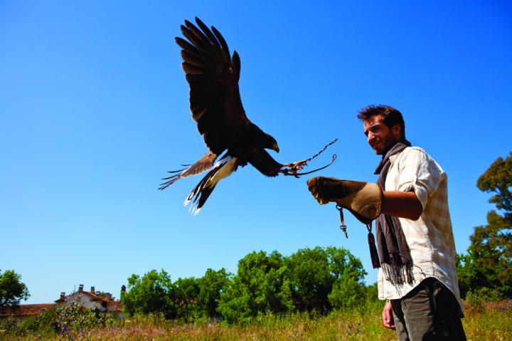 Falcoaria no Alentejo 4
