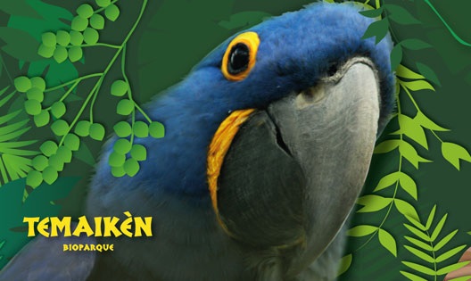 Fundação Temaikèn