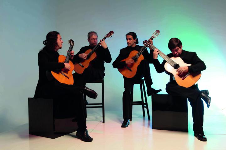 Grupo Quaternaglia - Credito Divulgacao