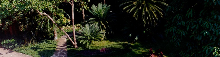 Instituto Moreira Salles (5) Cristiano Mascaro