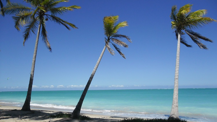 Jarapatinga.-Foto-Severino-Carvalho