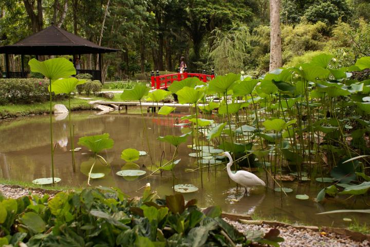 Jardim Botânico @VisitRio