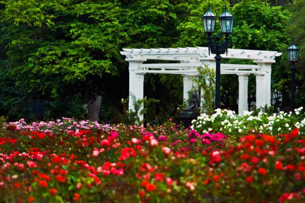 Jardim Rosedal Buenos Aires