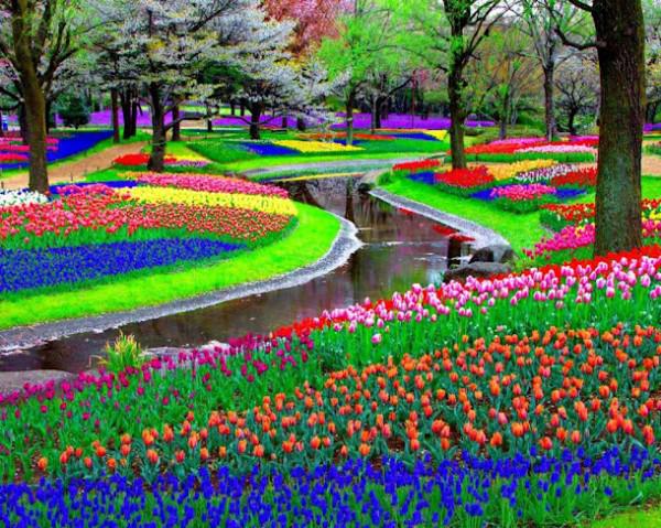 Jardins-de-Keukenhof-Amsterdam-Holanda.jpg-9-600x479