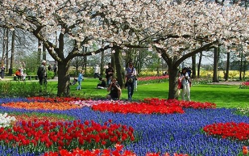 Keukenhof