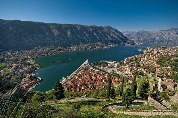 Kotor