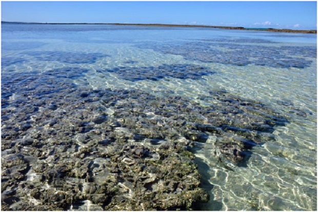 Maragogi - Alagoas