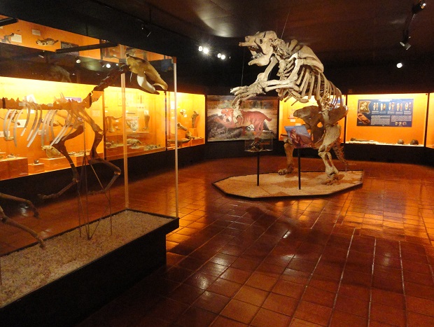 Museu de Colchagua (1)