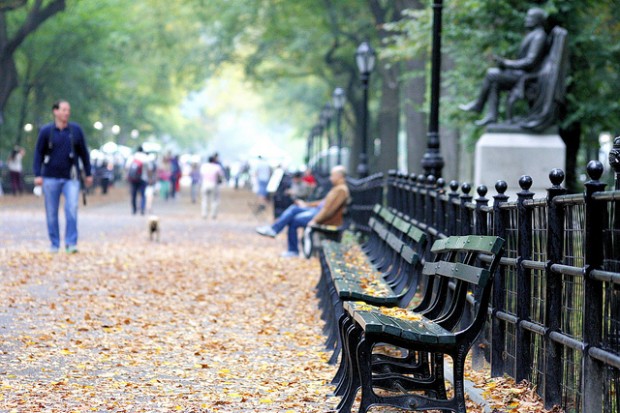 O Central Park já foi usado como cenário de grandes produções hollywoodianas.