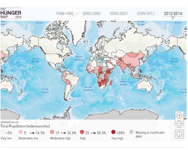 Organização de Agricultura e Comida para a ONU