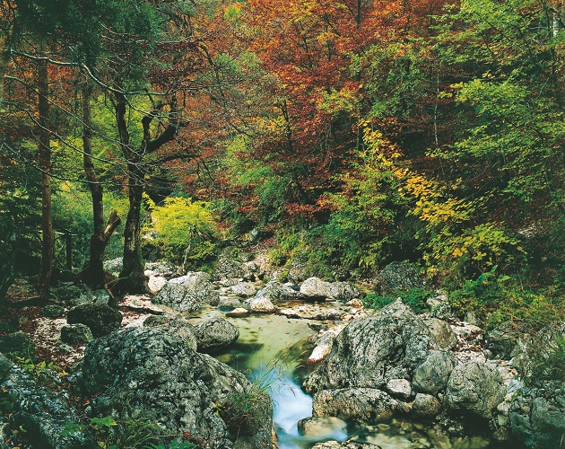 Parque Nacional de Abruzzo