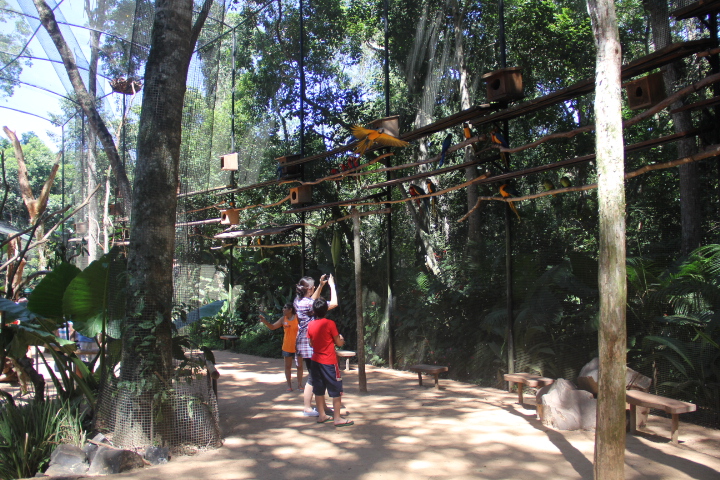 Parque das Aves (5)
