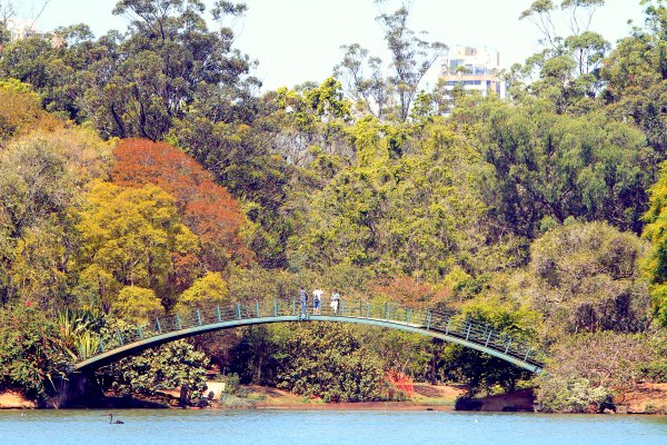 Parque do ibirapuera_out11_caiopimenta (5)