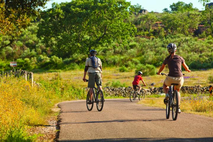 Passeio de bicicleta em familia