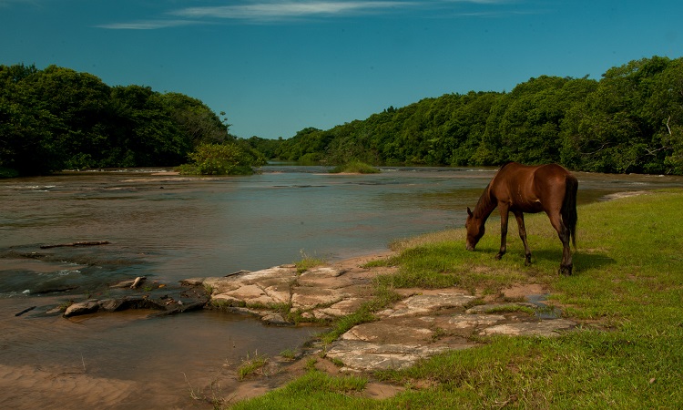 Pernambuco rural