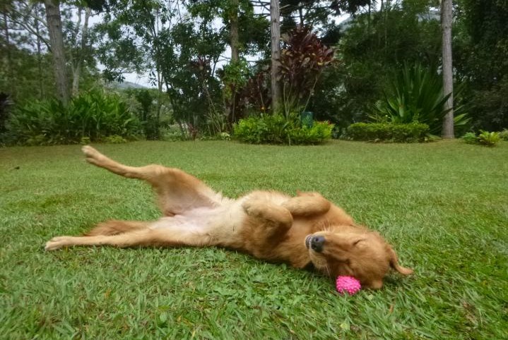 Alegria em Petrópolis