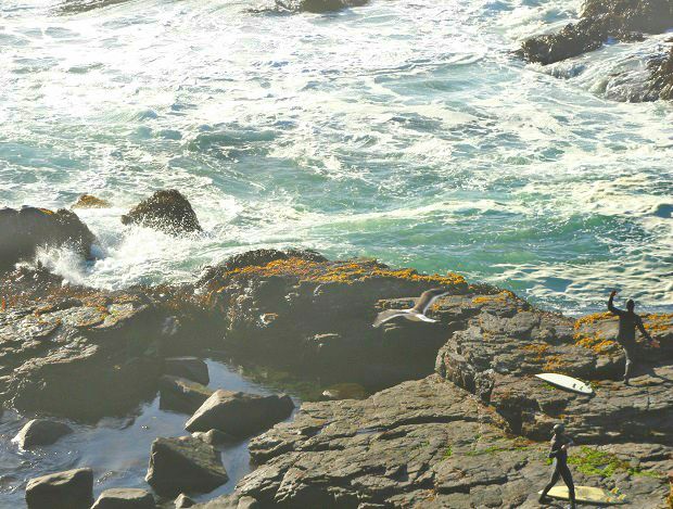 Pichilemu - praia de Punta de Lobos