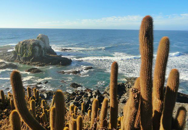 Pichilemu - praia de Punta de Lobos