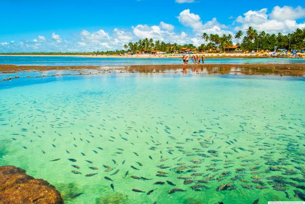 Piscinas Naturais de Porto de Galinhas, em Pernambuco – Foto Ricardo Junior